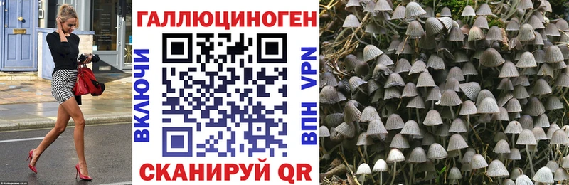 hydra ССЫЛКА  нарко площадка Telegram  Галлюциногенные грибы Magic Shrooms  Макушино 